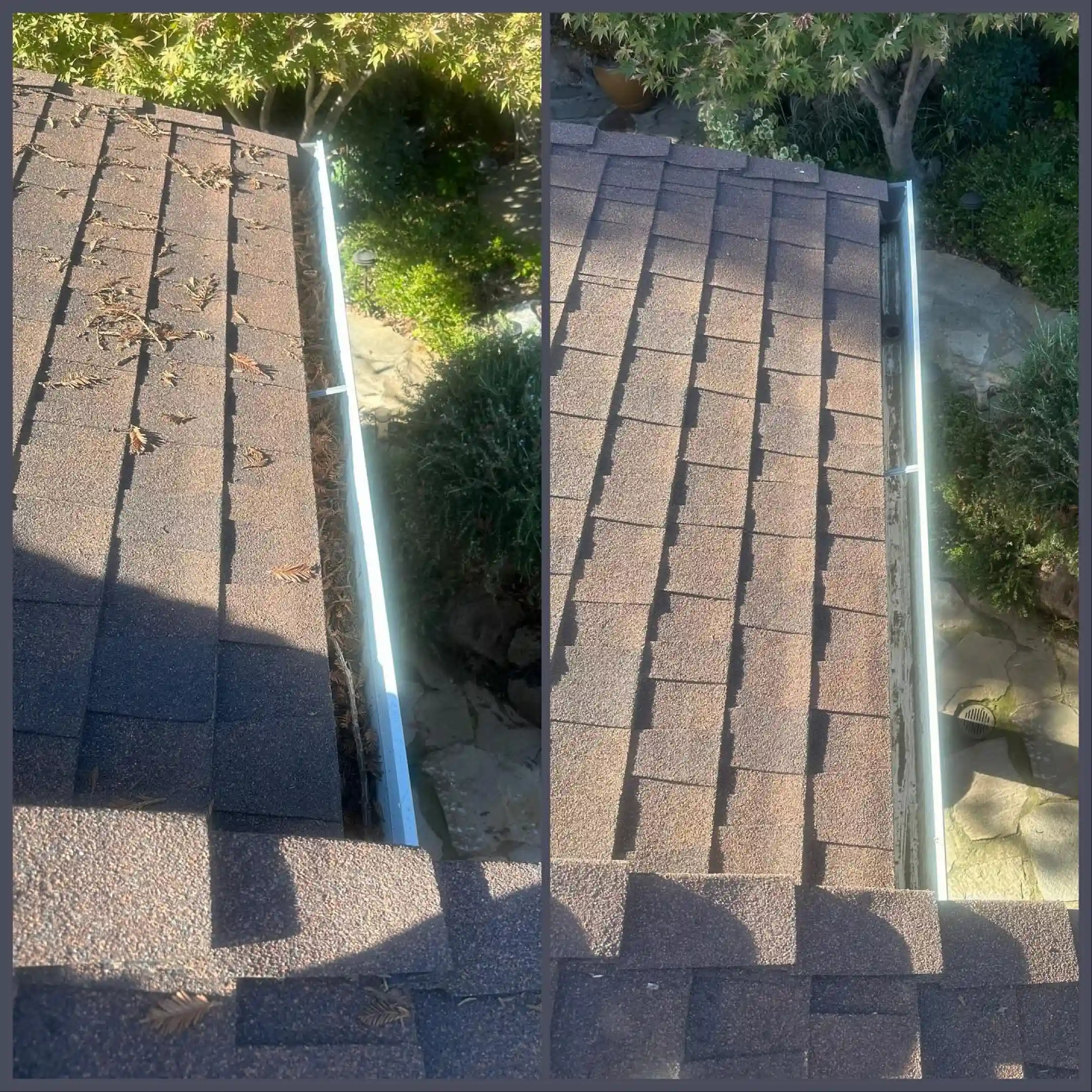 roof cleaning 1